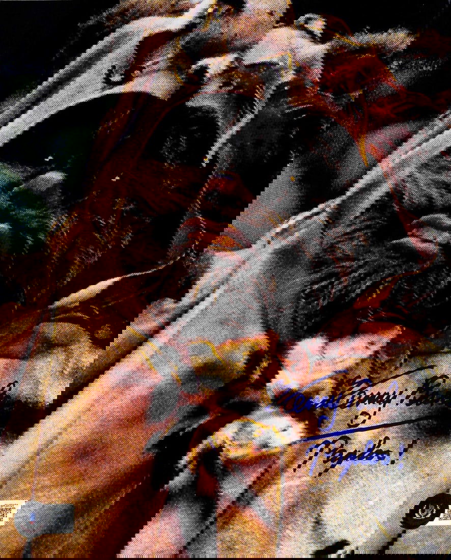 Kenny Baker Signed 8x10 Paploo Ewok Photo Star Wars ROTJ Beckett Authenticated: Kenny Baker Signed 8x10 Paploo Ewok Photo Star Wars ROTJ Beckett Authenticated This is an original 8x10 photograph signed by Kenny Baker, who portrayed Paploo the Ewok in Star Wars: Return of the Jedi