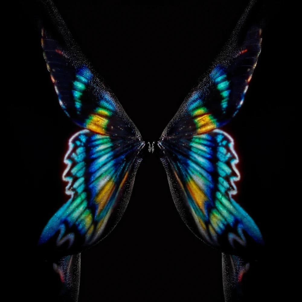 Giuliano Bekor Butterfly Breast Contemporary C Print 2020: Giuliano Bekor Butterfly Breast Contemporary C Print 2020 Experience the captivating world of contemporary photography with 'Butterfly or Breast' by Giuliano Bekor. This striking artwork, created in 2