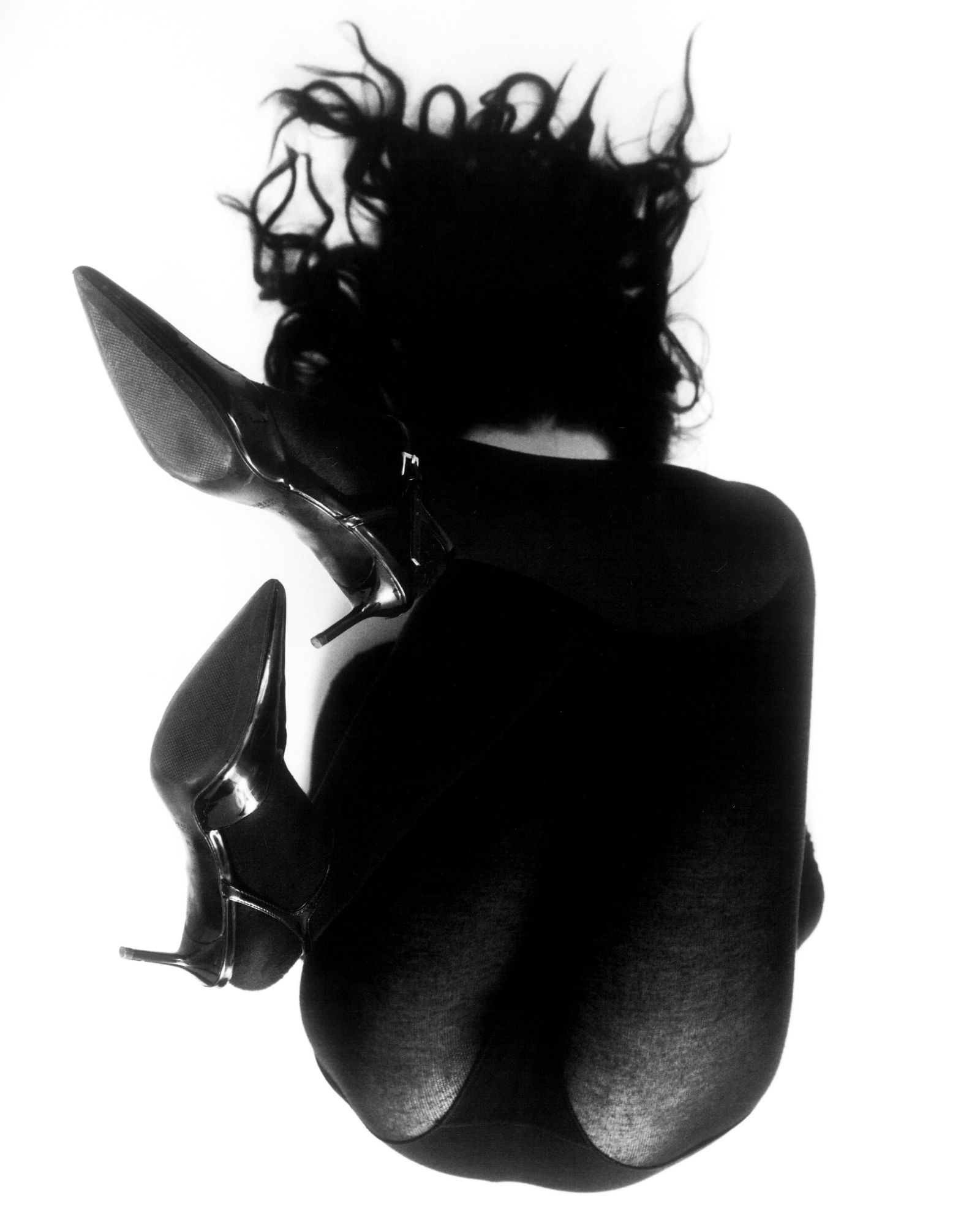 Kseniya Vashchenko Gray Cardinal Digital Pigment Photo 49 x 39 in Signed Edition of 3 (1 of 4)