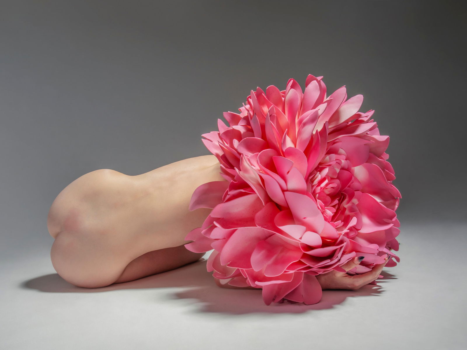 Limited Edition 1/15 Cradle the Sun Nude Photography by Aaron McPolin 18 x 24: Limited Edition 1/15 Cradle the Sun Nude Photography by Aaron McPolin 18 x 24 Experience the captivating beauty of "Cradle the Sun," an exquisite piece of nude photography by Aaron McPolin. This archi