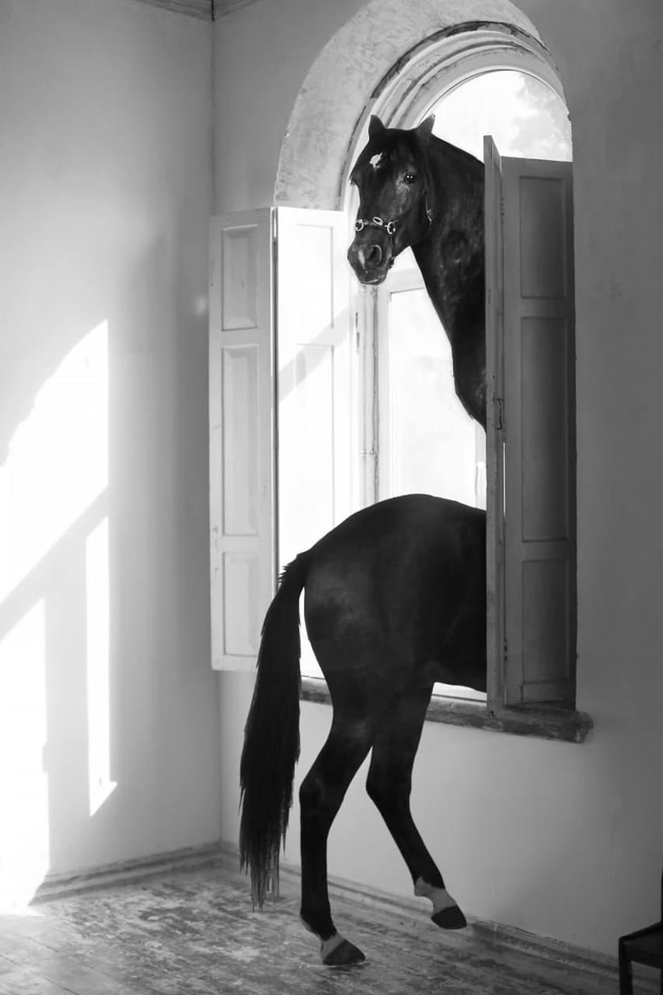 Echoes of Return Photography 41 x 28 Edition 1/3 by Olha Stepanian: Echoes of Return Photography 41 x 28 Edition 1/3 by Olha Stepanian Introducing "Echoes of Return," a stunning surrealist photography piece by Olha Stepanian, measuring 41" x 28" (104.14 cm x 71.12 cm)