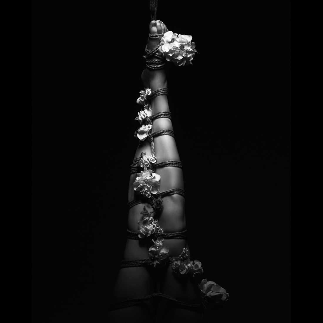 Aaron McPolin Shibari Series Archival Print Edition 1 of 15 24 x 24 Inches Signed: Aaron McPolin Shibari Series Archival Print Edition 1 of 15 24 x 24 Inches Signed "Submission" is a contemporary archival giclee print by Aaron McPolin, part of the "A Tender Dissolution" series. This