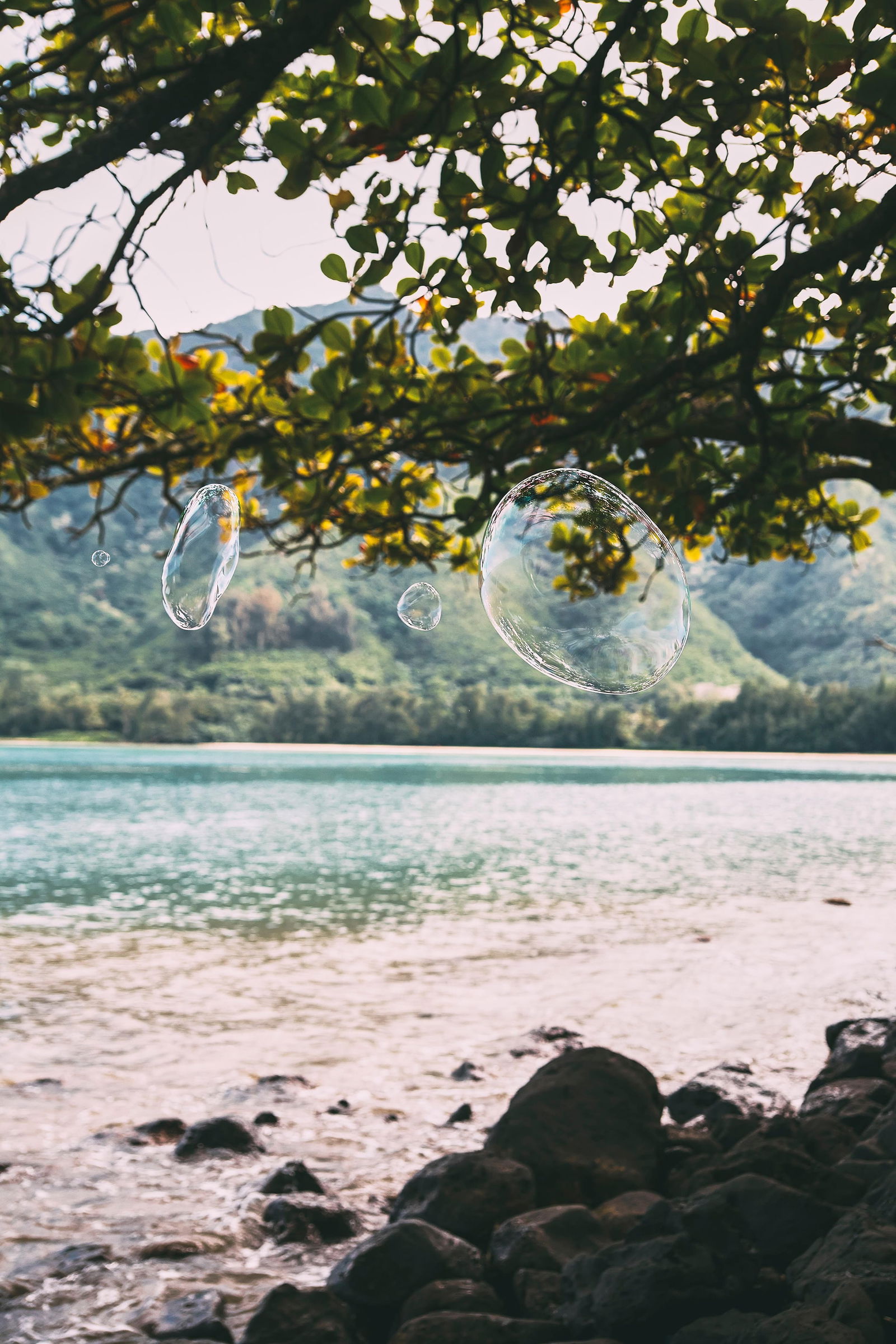 Rowan Daly Drift 38 Landscape Photography 40x30 Edition of 1/5: Rowan Daly Drift 38 Landscape Photography 40x30 Edition of 1/5 Experience the essence of contemporary landscape photography with "Drift 38," a striking piece by Rowan Daly. This unframed digital print