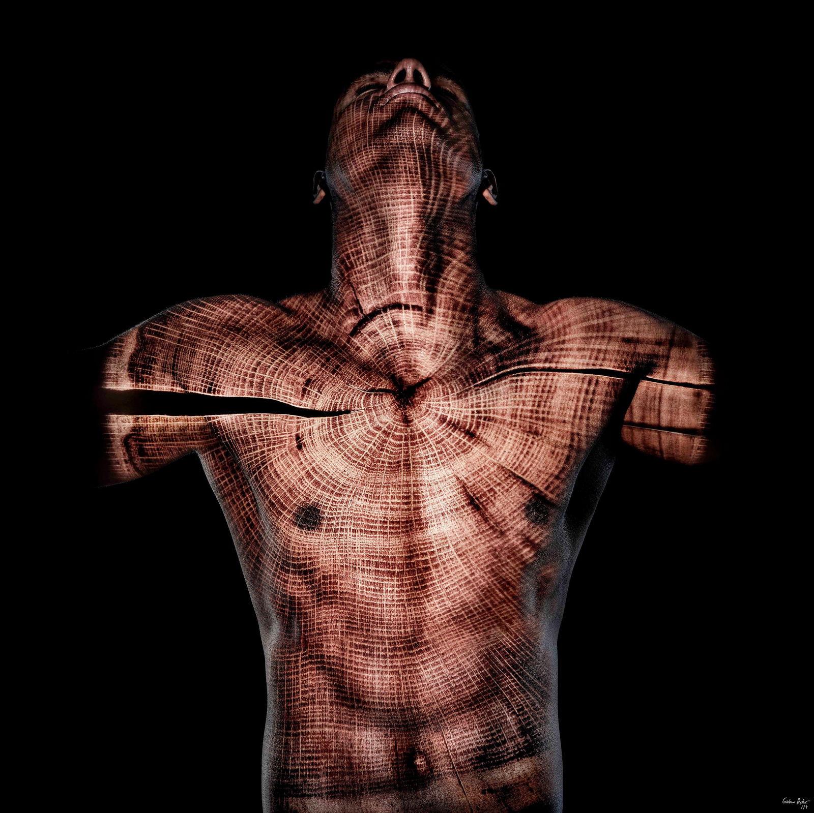 Giuliano Bekor Acacia ARM4 Abstract Photography 48x48 Limited Edition 1/4: Giuliano Bekor Acacia ARM4 Abstract Photography 48x48 Limited Edition 1/4 Discover the captivating essence of nature with "Acacia ARM4," an abstract photography piece by renowned artist Giuliano Bekor