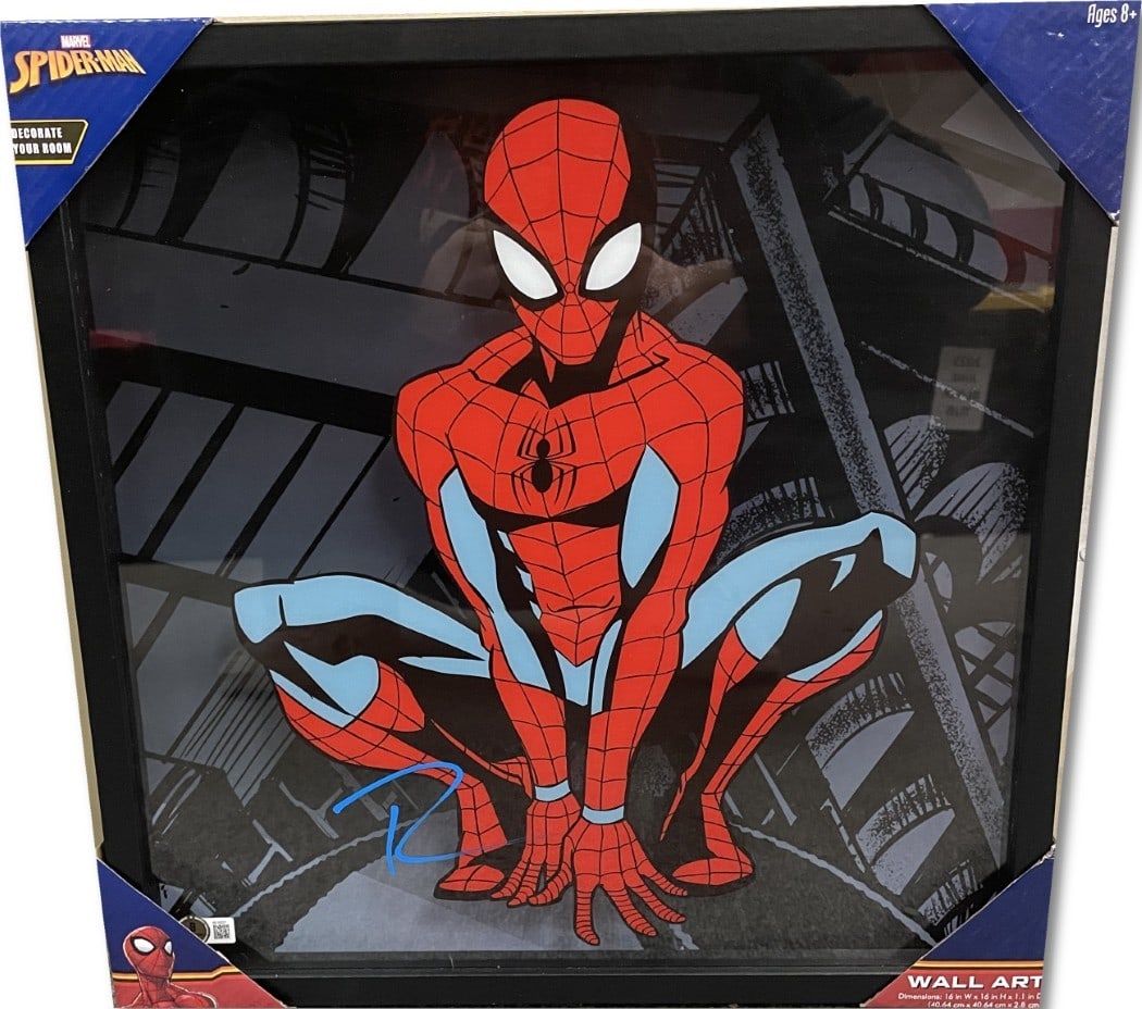 Tobey Maguire Signed Spider-Man Stained Glass Art 16x16 Framed Beckett Authenticated: Tobey Maguire Signed Spider-Man Stained Glass Art 16x16 Framed Beckett Authenticated This stunning piece features a stained glass art representation of Spider-Man, beautifully framed and signed by Tob