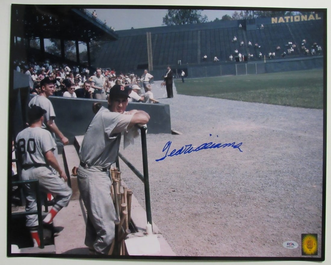 Ted Williams Autographed 16x20 Photo Boston Red Sox PSA/DNA: Ted Williams Autographed 16x20 Photo Boston Red Sox PSA/DNA This is an original 16x20 photo of Ted Williams, a Hall of Fame baseball player, signed by him. The photograph features Williams in his Bost