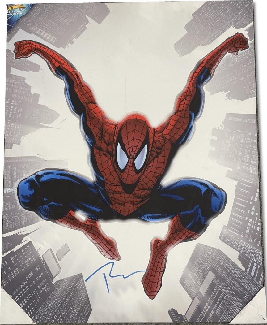 Tobey Maguire Signed Spider-Man Canvas 22x26 Beckett Authenticated (1 of 4)