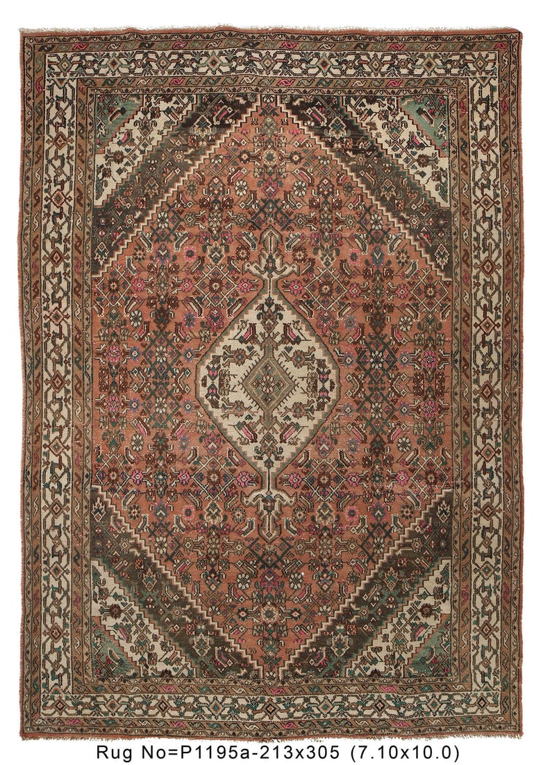 7x10 Vintage Persian Hamadan Rug Timeless Charm: 7x10 Vintage Persian Hamadan Rug Timeless Charm Free continental US Shipping This exquisite 7 x 10 Vintage Persian Hamadan Rug showcases intricate designs and vibrant colors, reflecting the rich cultu