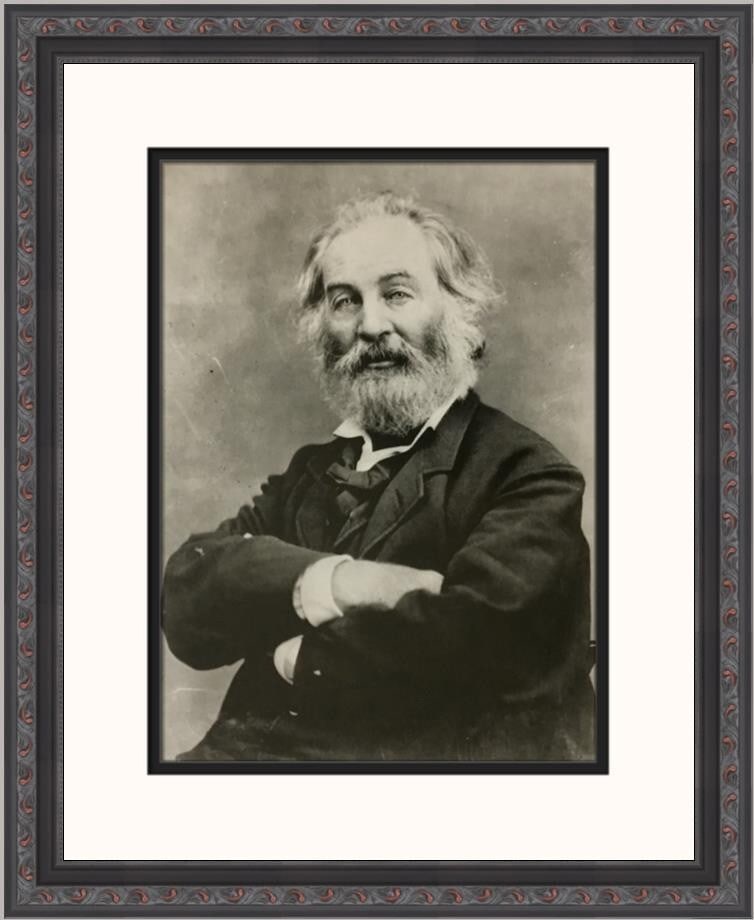 Mathew Brady Walt Whitman Custom Framed Portrait Print 2004: Mathew Brady Walt Whitman Custom Framed Portrait Print 2004 This stunning custom framed print features the iconic American poet Walt Whitman, captured by renowned photographer Mathew Brady. Measuring