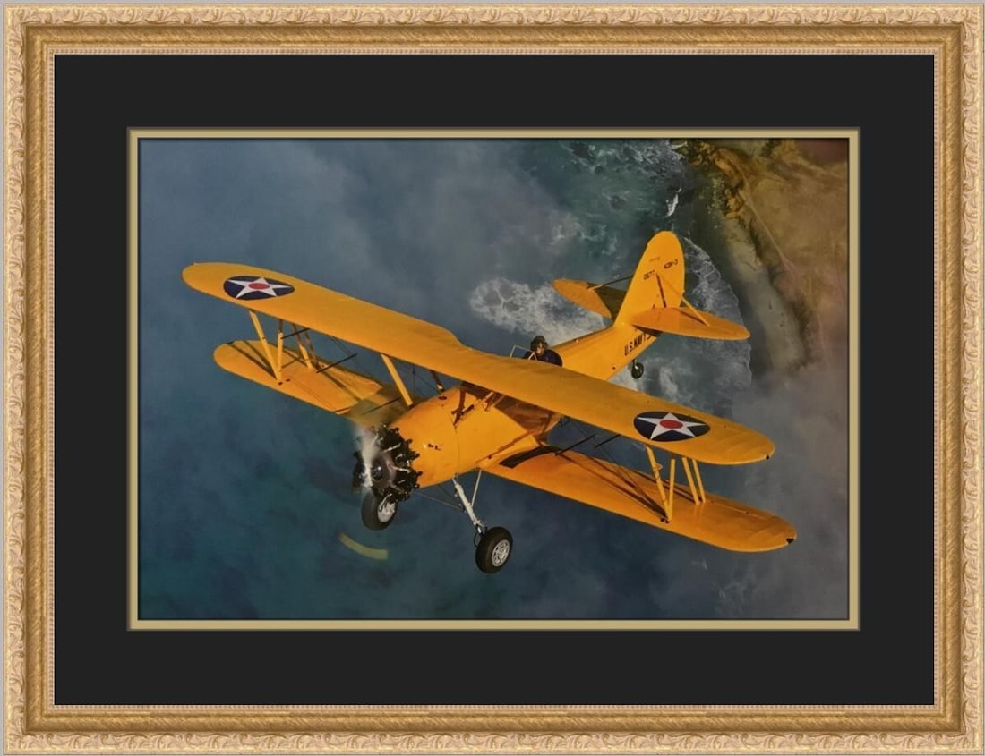 Custom Framed Print Naval Aircraft Factory NeN-3 Canary by Philip Makanna: Custom Framed Print Naval Aircraft Factory NeN-3 Canary by Philip Makanna This captivating framed print titled 'Naval Aircraft Factory NeN-3 Canary' by artist Philip Makanna showcases a stunning depic