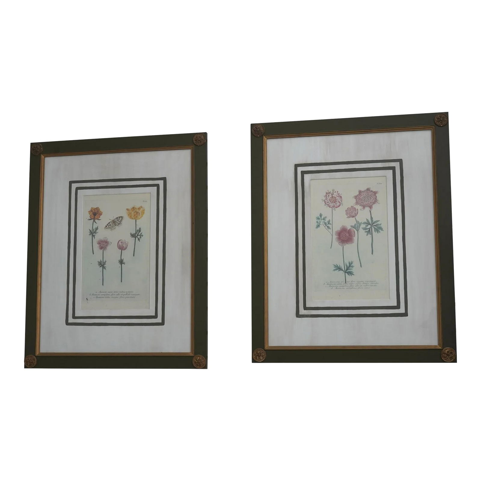 John Richards Green Framed Botanical Prints Pair Quality Art (1 of 10)