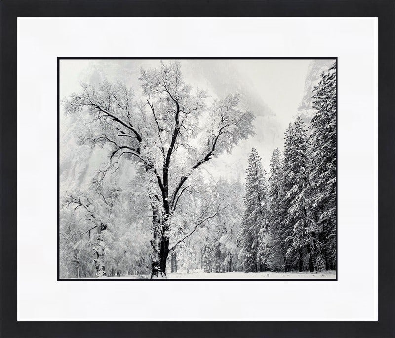 Ansel Adams Oak Tree Snowstorm Custom Framed Print 16x18: Ansel Adams Oak Tree Snowstorm Custom Framed Print 16x18 This beautiful custom framed print features Ansel Adams' captivating artwork titled "Oak Tree Snowstorm El Capitan Meadow Yosemite CA." Measuri