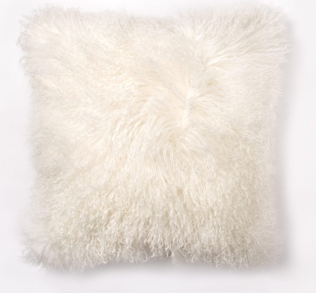 Alder Tweed 22 Inch Aurora Down Pillow Alabaster Finish: Alder Tweed 22 Inch Aurora Down Pillow Alabaster Finish Enhance your home decor with the Traditional Style 22-Inch Aurora Pillow. This beautifully crafted pillow features a soft down material and an e