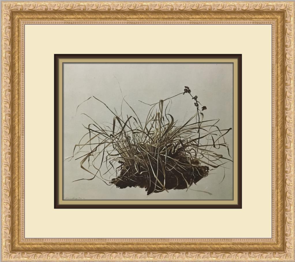 Andrew Wyeth Grasses Custom Framed Lithograph Print 1973: Andrew Wyeth Grasses Custom Framed Lithograph Print 1973 This stunning custom framed print titled "Grasses" by renowned artist Andrew Wyeth showcases a beautiful landscape in a realism style. Original