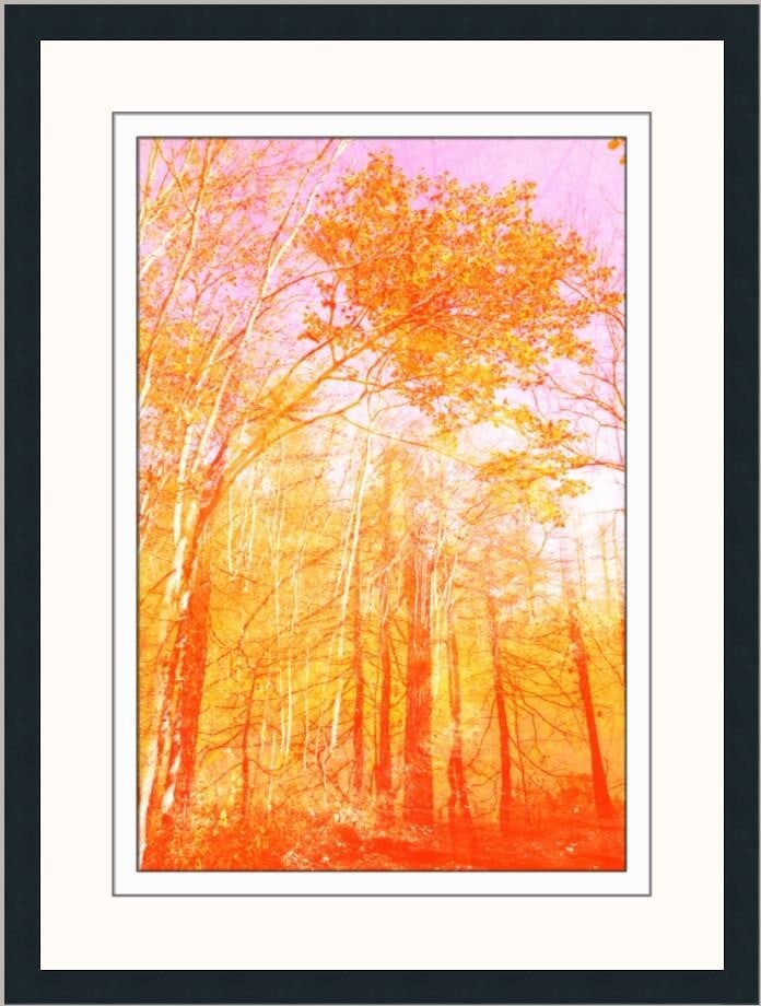 Brent Wickes Time Will Tell Limited Edition Giclee Framed Print (1 of 2)