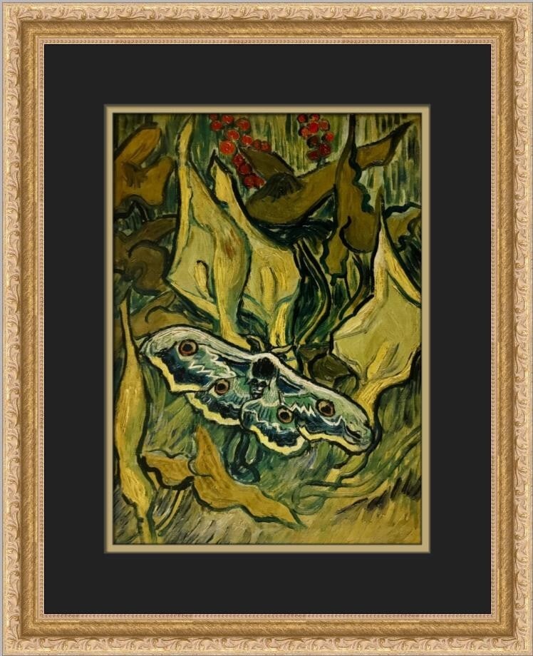 Vincent Van Gogh Death's Head Moth Custom Framed Offset Lithograph Print (1 of 2)