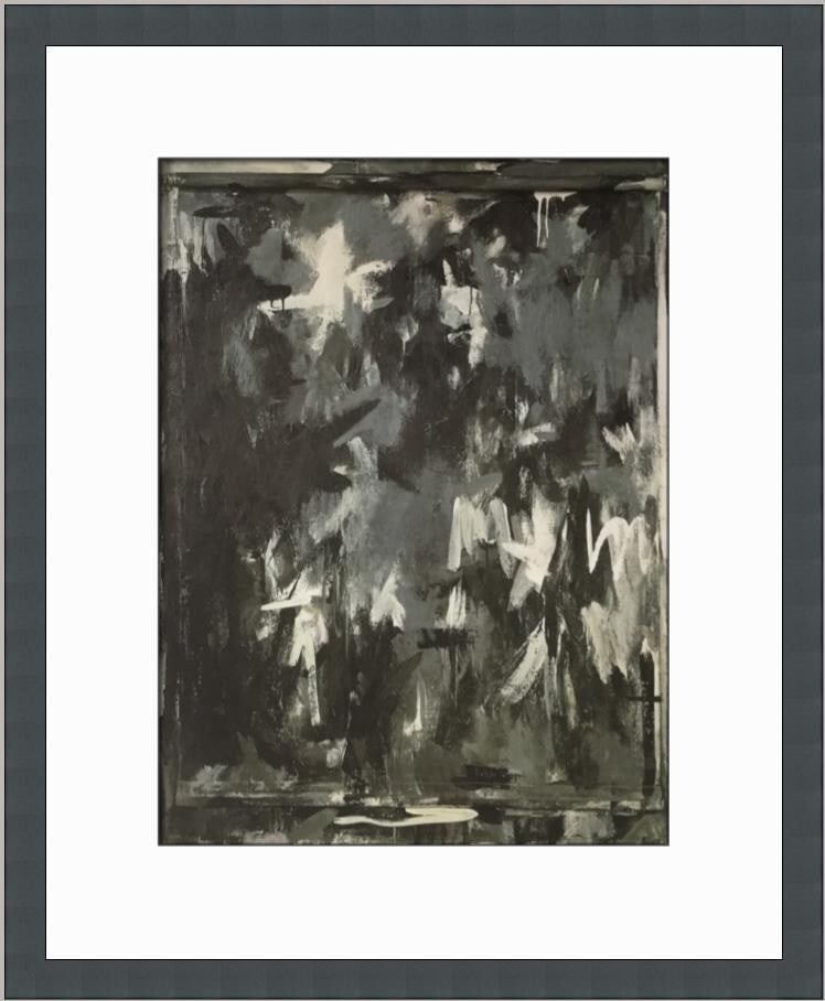 Jasper Johns Shade Custom Framed Lithograph Print 18 x 15 (1 of 2)