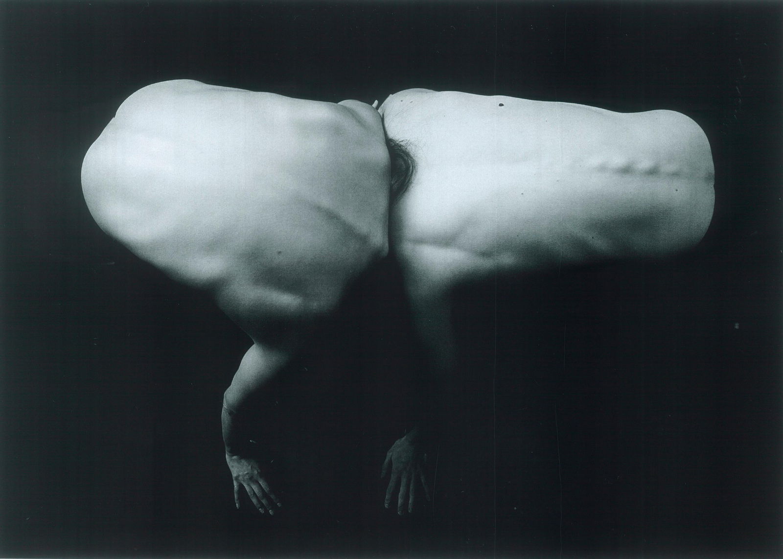 Zwei by Kseniya Vashchenko Black and White Photography Ed. of 7 31 x 39: Zwei by Kseniya Vashchenko Black and White Photography Ed. of 7 31 x 39 "Zwei" is an evocative black and white photography piece by Kseniya Vashchenko, measuring 31" x 39". Created in 2021, this digit