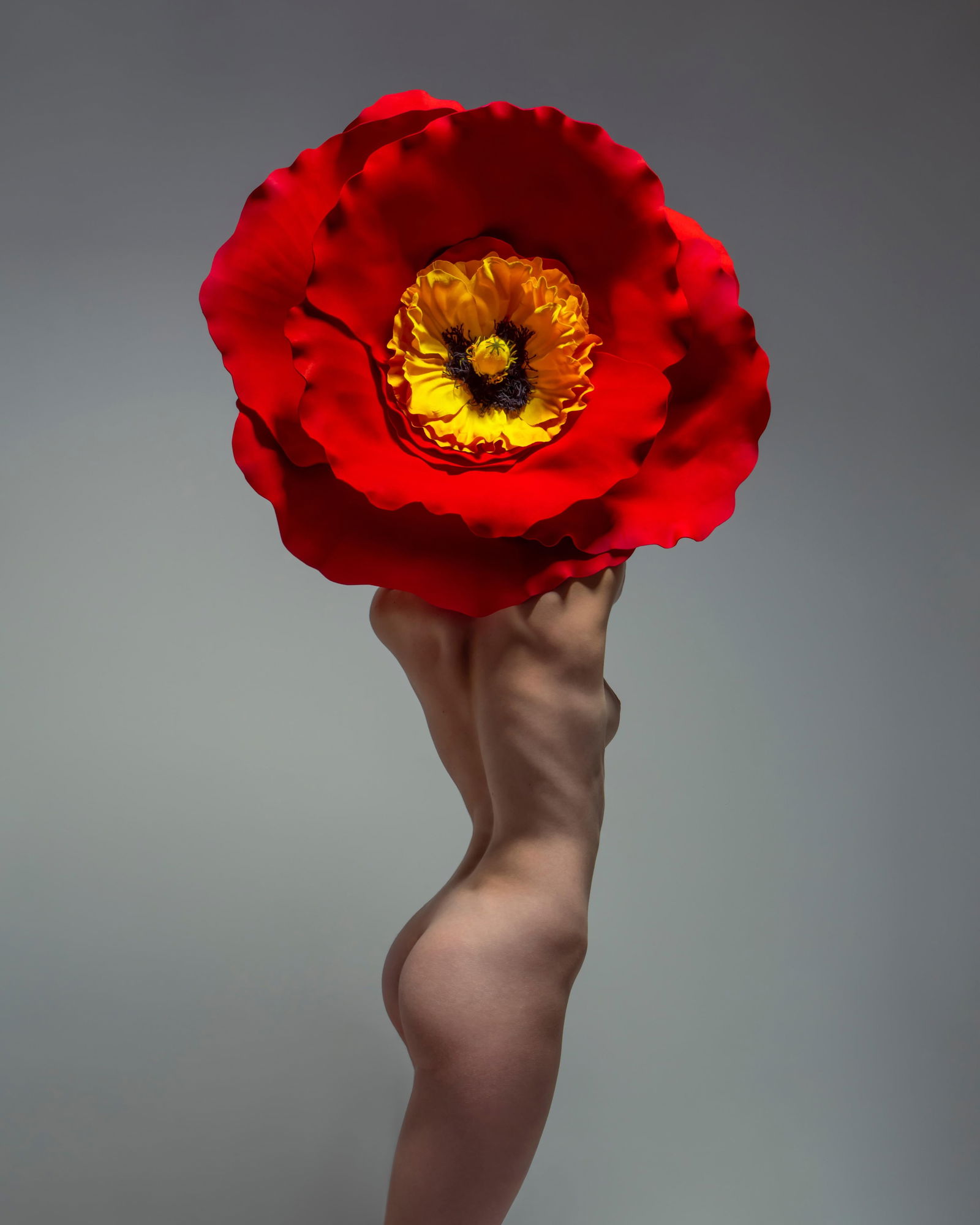 Radiance II Nude Photography 40 x 32 Ed. 1 of 3 by Aaron McPolin: Radiance II Nude Photography 40 x 32 Ed. 1 of 3 by Aaron McPolin "Radiance II" is a stunning archival pigment nude photography piece by Aaron McPolin, measuring 40" x 32". This contemporary artwork, c