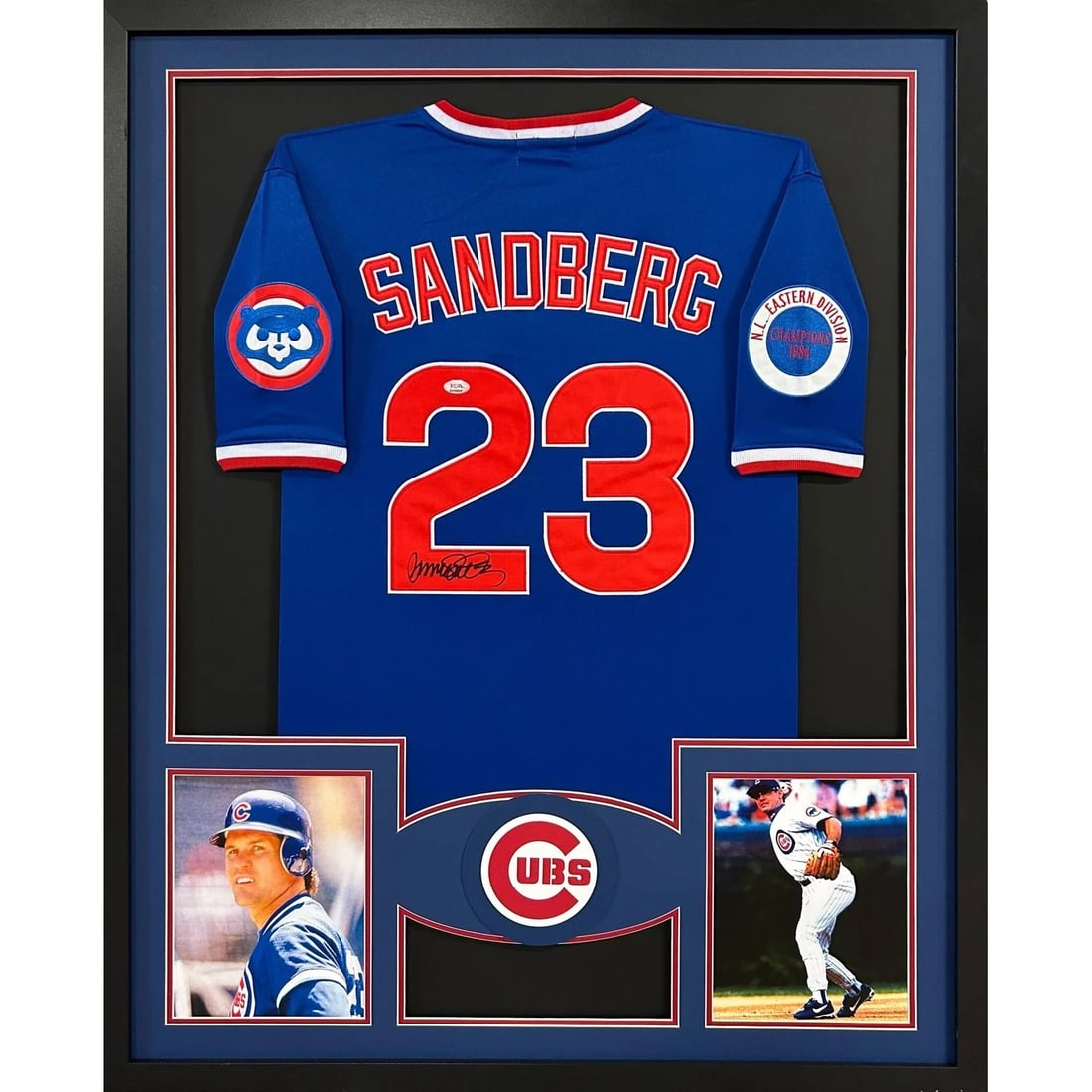 Framed Ryne Sandberg Chicago Cubs Jersey Signed With PSA/DNA Authentication: Framed Ryne Sandberg Chicago Cubs Jersey Signed With PSA/DNA Authentication This autographed Chicago Cubs jersey features the signature of Ryne Sandberg and is professionally framed. The jersey is aut