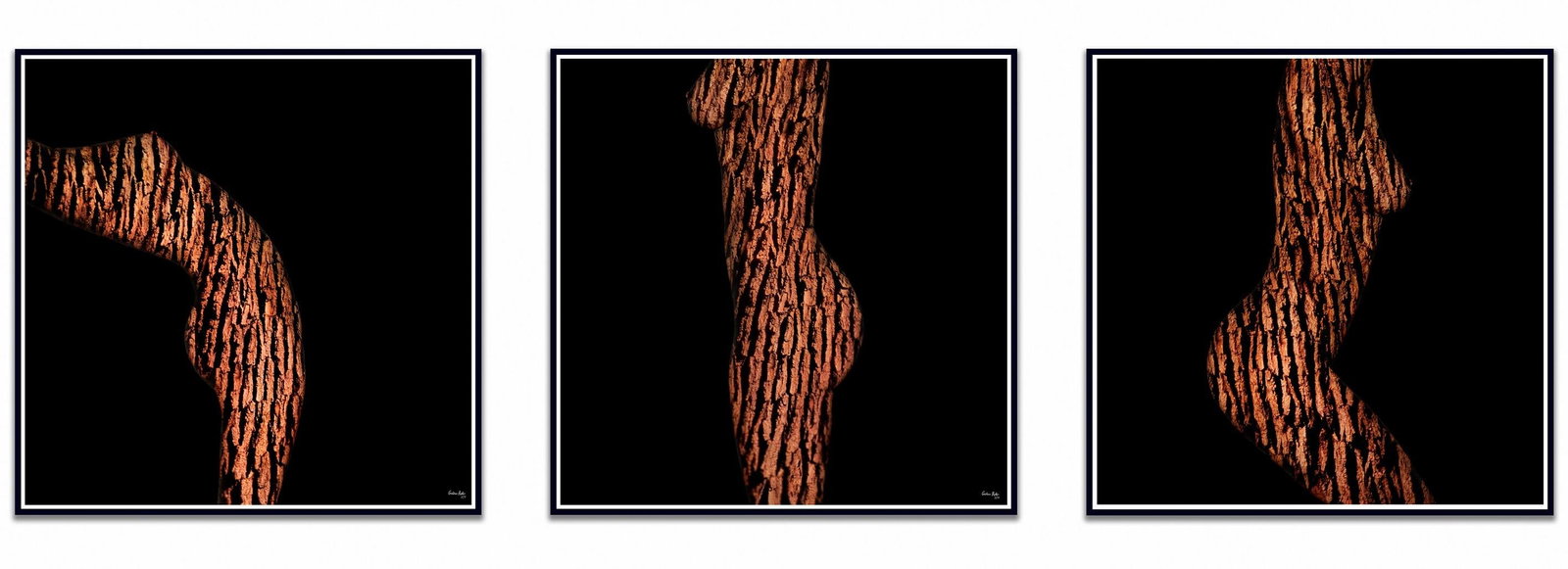 Giuliano Bekor ARW11T-LMR Triptych Abstract Photography Limited Ed 1/4: Giuliano Bekor ARW11T-LMR Triptych Abstract Photography Limited Ed 1/4 Introducing the "ARW11T-LMR Triptych," an exquisite piece of abstract photography by acclaimed artist Giuliano Bekor. Created in