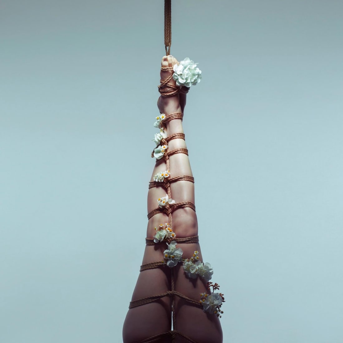 Aaron McPolin Growth Photography 30x30 Edition 1 of 7 2017: Aaron McPolin Growth Photography 30x30 Edition 1 of 7 2017 "Growth" is a captivating photographic artwork by Aaron McPolin, measuring 30" x 30". Created in 2017, this piece is part of a limited editio