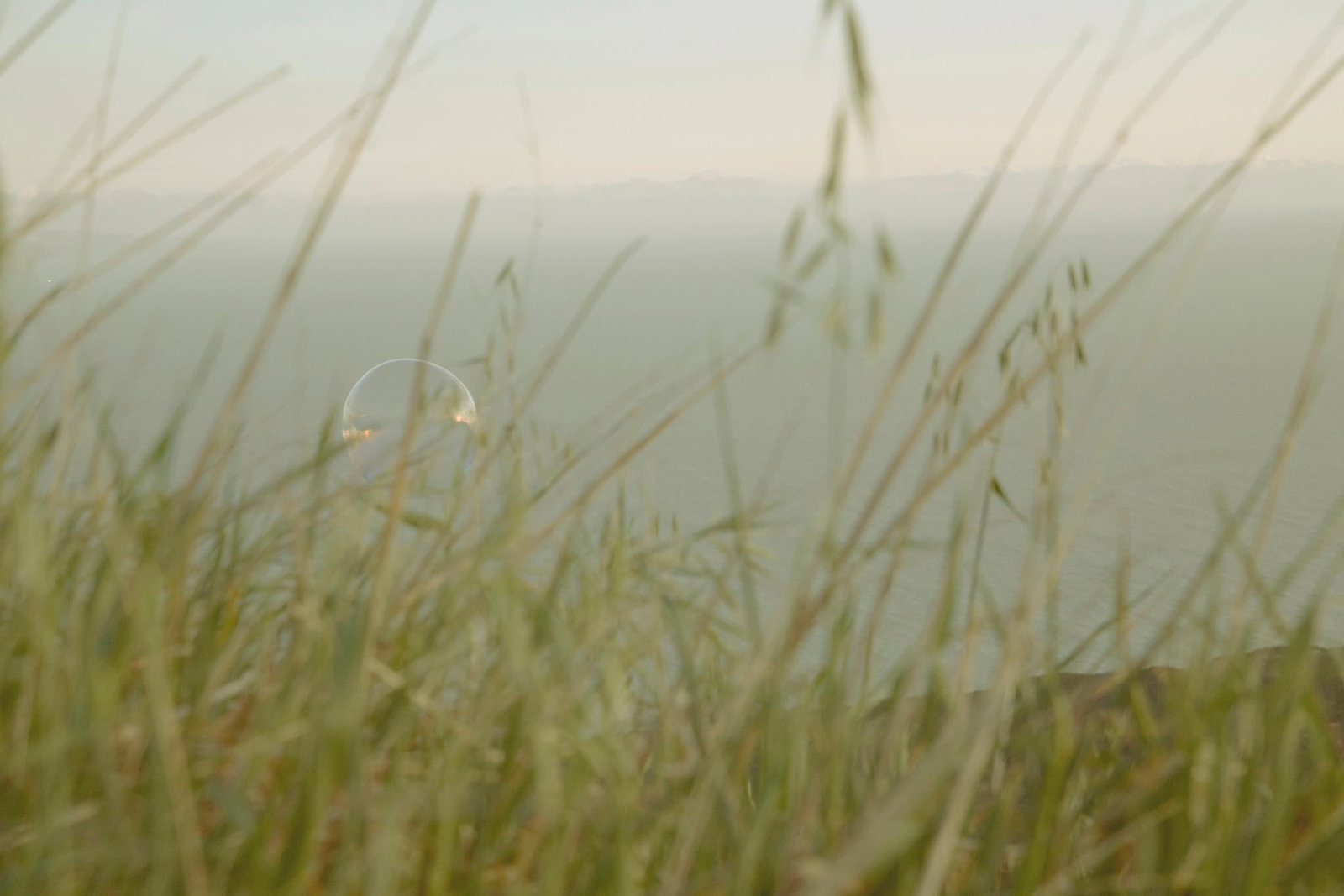 Rowan Daly Drift 12 Photography Limited Edition 2/10 20 x 30: Rowan Daly Drift 12 Photography Limited Edition 2/10 20 x 30 Discover the captivating "Drift 12" photography by Rowan Daly, a stunning digital print that captures the essence of contemporary American