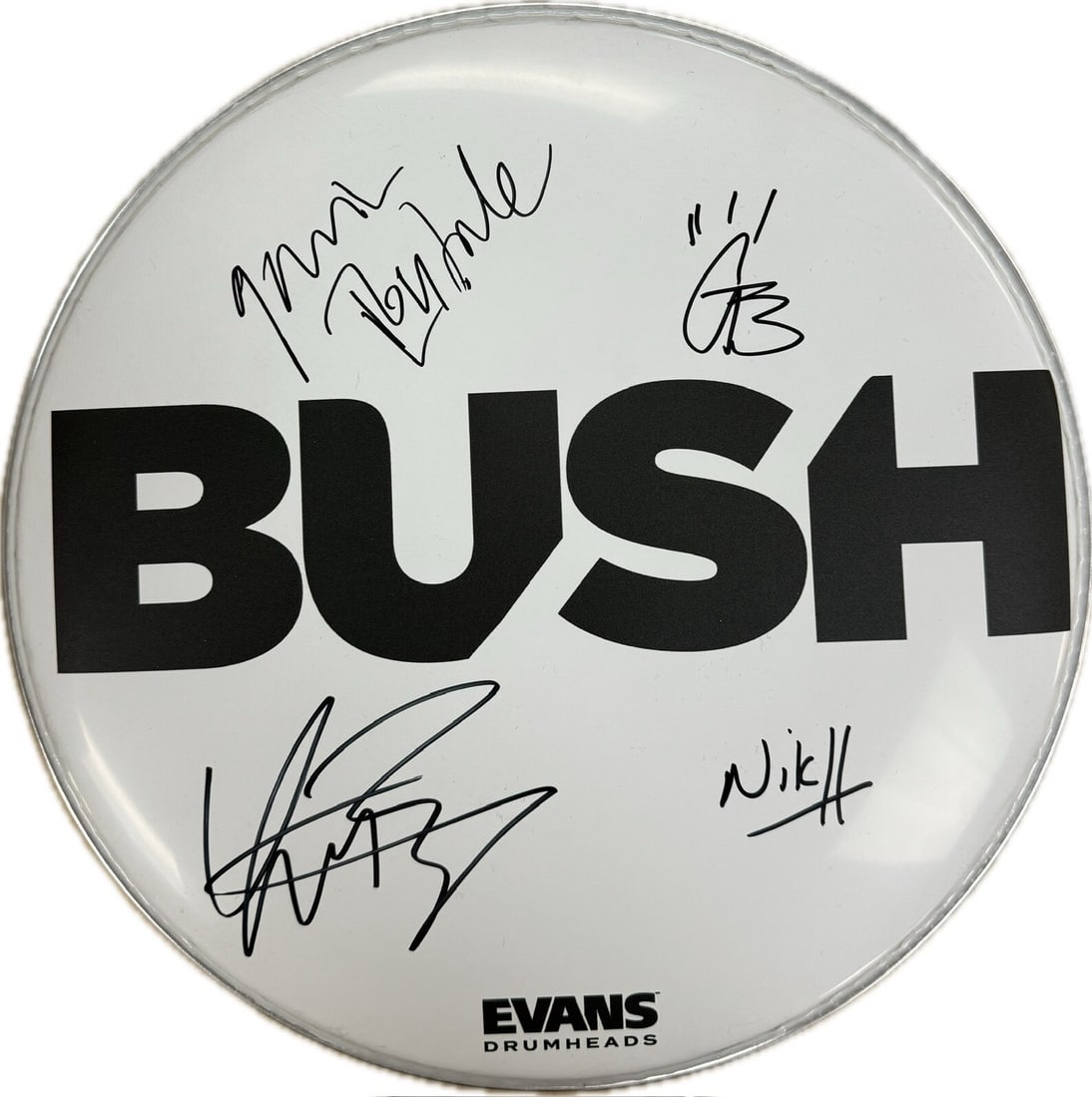 12 Inch Drumhead Signed by Bush Band Members Beckett Authenticated: 12 Inch Drumhead Signed by Bush Band Members Beckett Authenticated This is an original 12-inch drumhead autographed by the members of the band Bush. The signatures, done in black permanent marker, inc