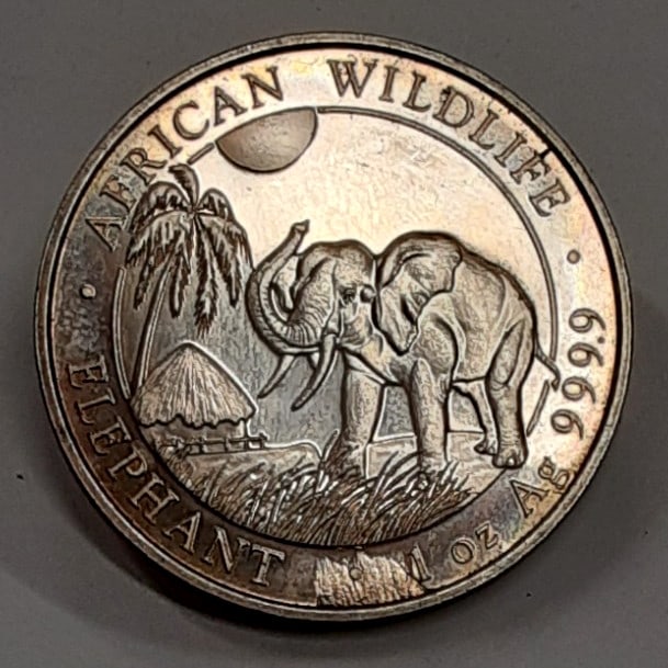 1 oz Silver 100 Shillings Elephant Coin Somalia 2017 KM271: 1 oz Silver 100 Shillings Elephant Coin Somalia 2017 KM271 This 2017 Somalia 100 Shillings coin features an elephant design and contains 1 troy ounce of 0.9999 fine silver. The coin is designated as K
