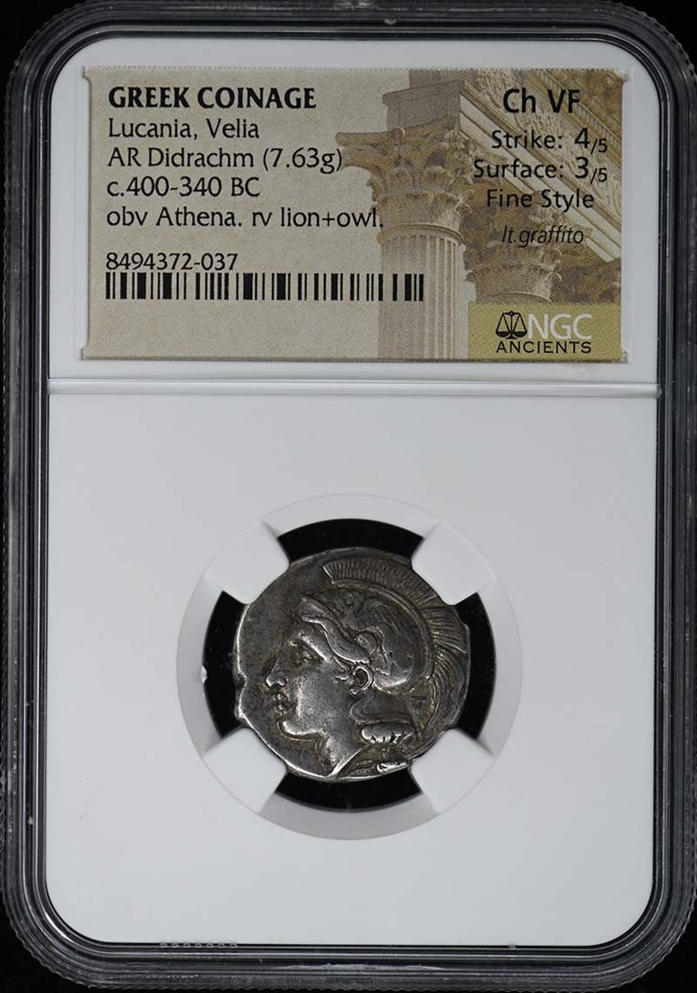 Velia Ancient Greek Silver Didrachm 7.63g NGC Certified Choice VF (1 of 4)