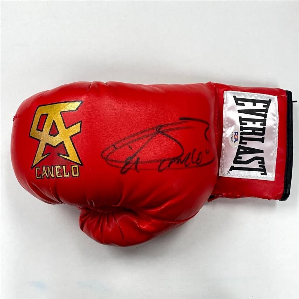 Canelo Alvarez Signed Custom Everlast Boxing Glove PSA Authenticated: Canelo Alvarez Signed Custom Everlast Boxing Glove PSA Authenticated This is a signed, custom hand-painted Everlast boxing glove featuring the authentic signature of boxing champion Saul Canelo Alvare