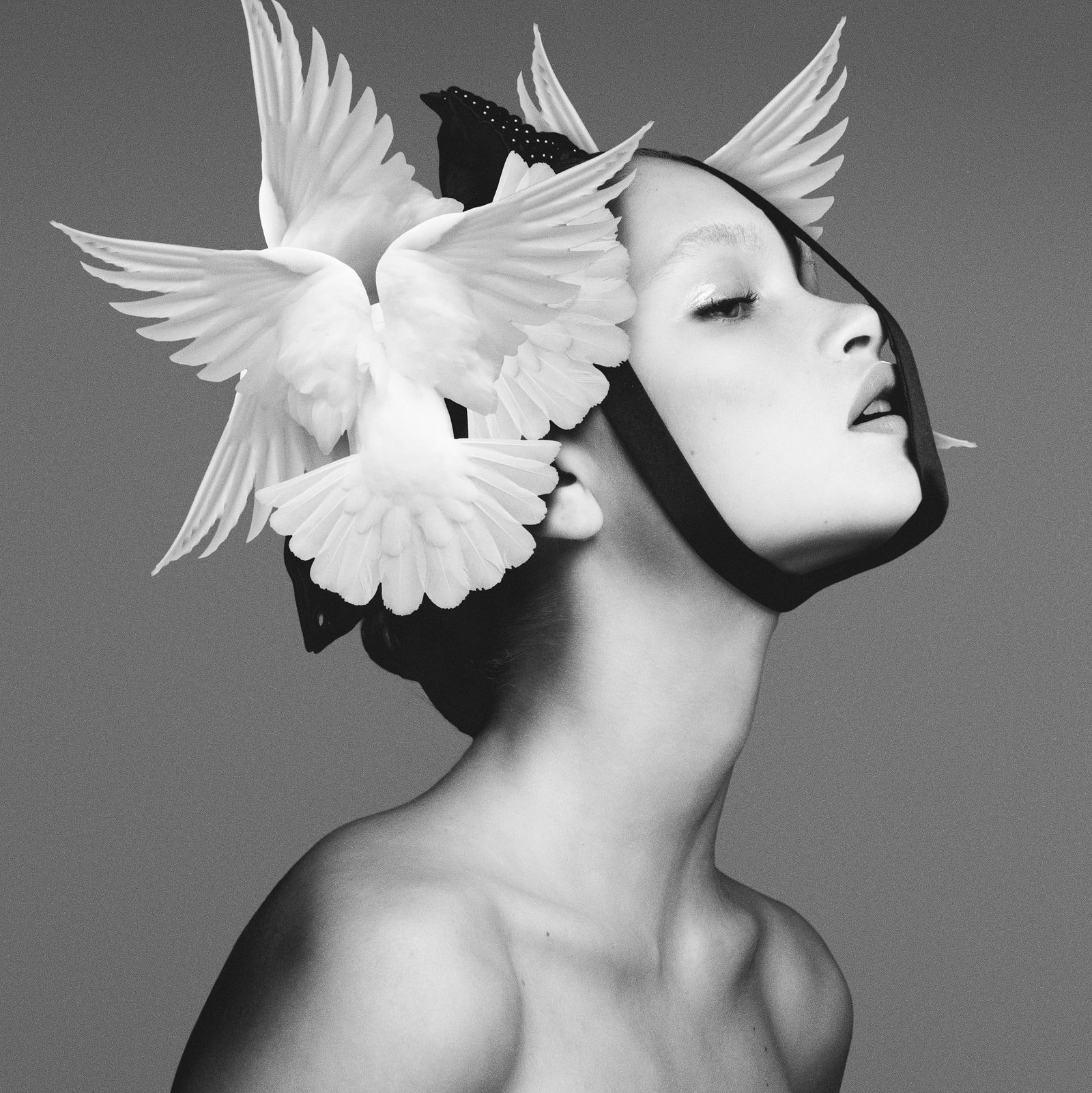 Brian Ziff Red Bull Black and White Photo 24x24 Edition of 24: Brian Ziff Red Bull Black and White Photo 24x24 Edition of 24 Discover the captivating beauty of Brian Ziff's "Red Bull," a striking black and white giclee photography piece measuring 24" x 24". This