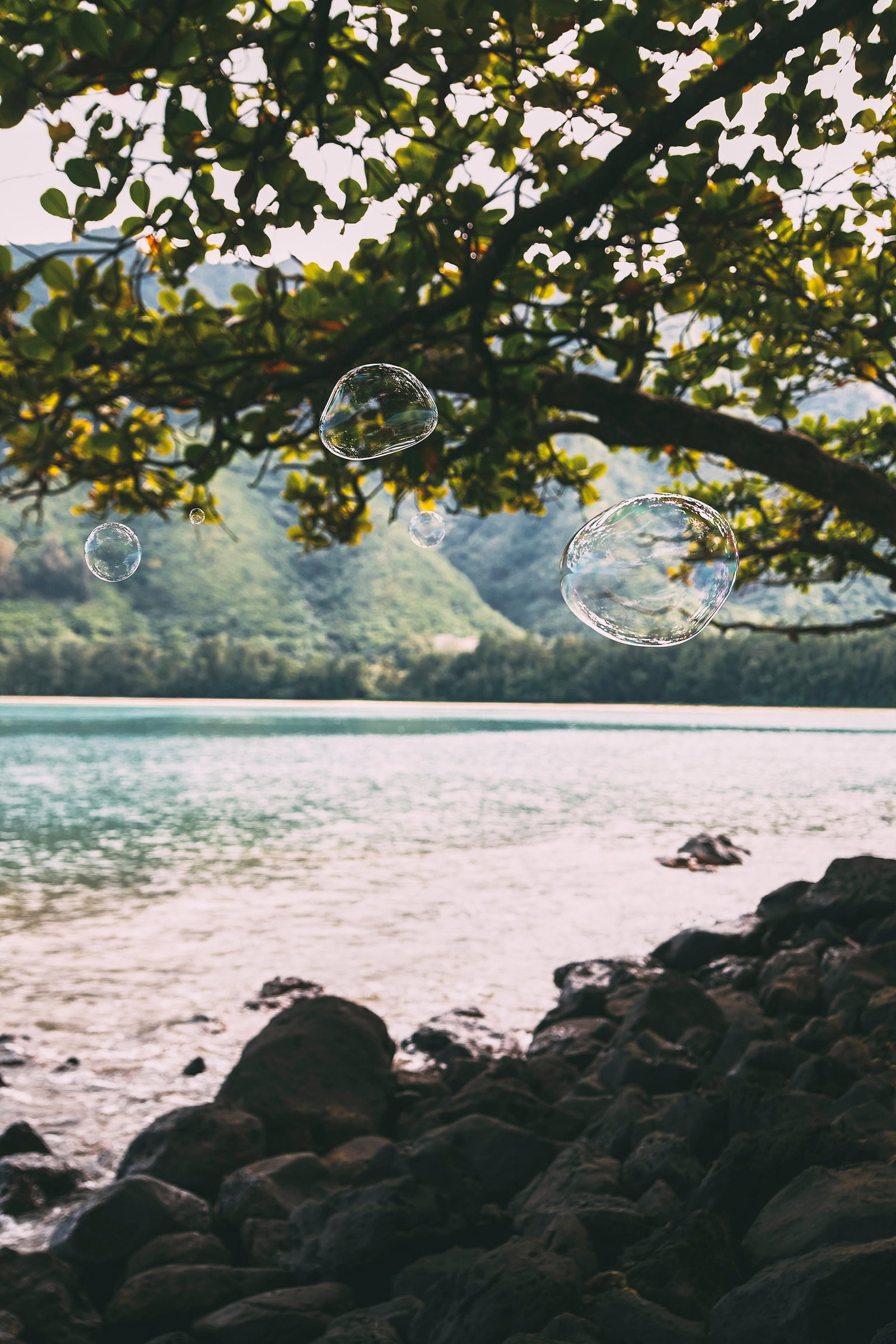 Rowan Daly Drift 39 Landscape Photography Limited Edition 30x20: Rowan Daly Drift 39 Landscape Photography Limited Edition 30x20 Introducing "Drift 39," a stunning landscape photography piece by Rowan Daly, created in 2013. This digital print measures 30 inches in