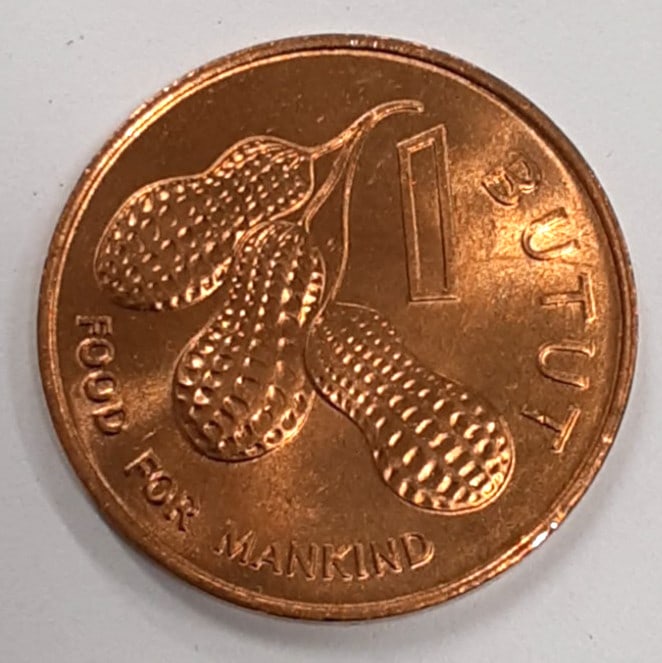 Roll of 50 Uncirculated 1974 Gambia 1 Butut FAO Bronze Coins KM 14: Roll of 50 Uncirculated 1974 Gambia 1 Butut FAO Bronze Coins KM 14 This is a roll of 50 un-used 1974 Gambia 1 Butut coins, FAO variety, composed of bronze. Each coin is ungraded, uncertified, and come