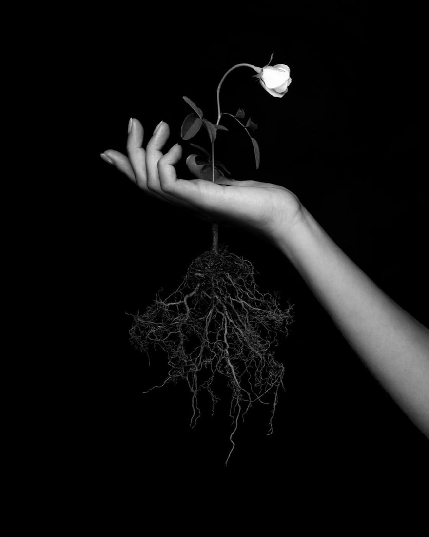 Brendan North Human Nature Pt 1 Photography Edition 1/3 50x40 Contemporary Art: Brendan North Human Nature Pt 1 Photography Edition 1/3 50x40 Contemporary Art Experience the captivating imagery of "Human Nature Pt. 1," a stunning photography piece by acclaimed artist Brendan Nort