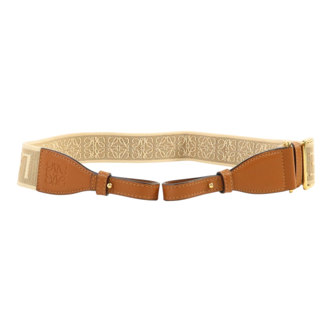 Brown and Beige Canvas Calfskin Shoulder Strap by Loewe with Gold Hardware (1 of 11)