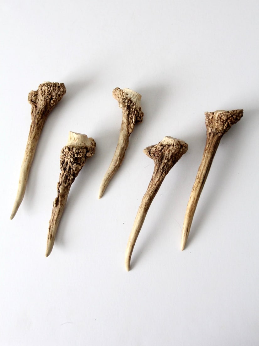 Vintage Deer Antler Point Collection of 5 Unique Natural Bone Pieces (1 of 8)
