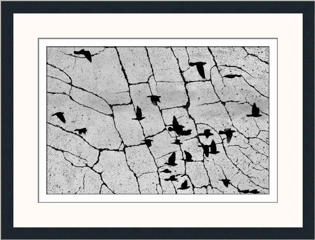 Brent Wickes Time Flies Limited Edition Giclee Print Framed Signed 21x26 (1 of 2)