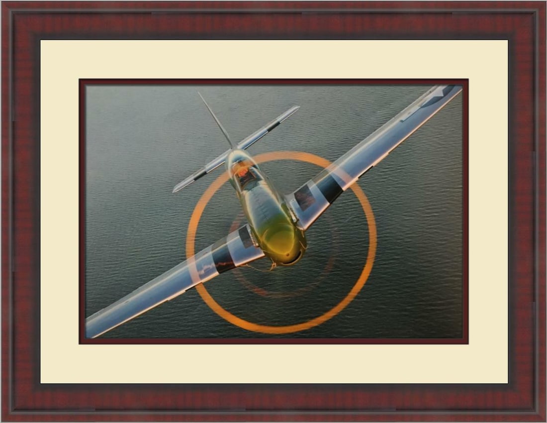 NORTH AMERICAN TF-51D MUSTANG Aviation Print by Philip Makanna Custom Framed (1 of 2)