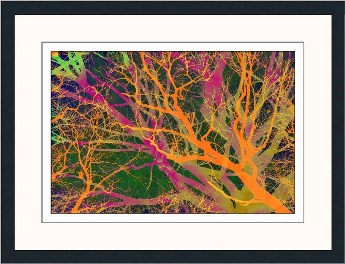 Brent Wickes Color Vibes Limited Edition Giclee Print Signed Framed 22 x 27 (1 of 2)