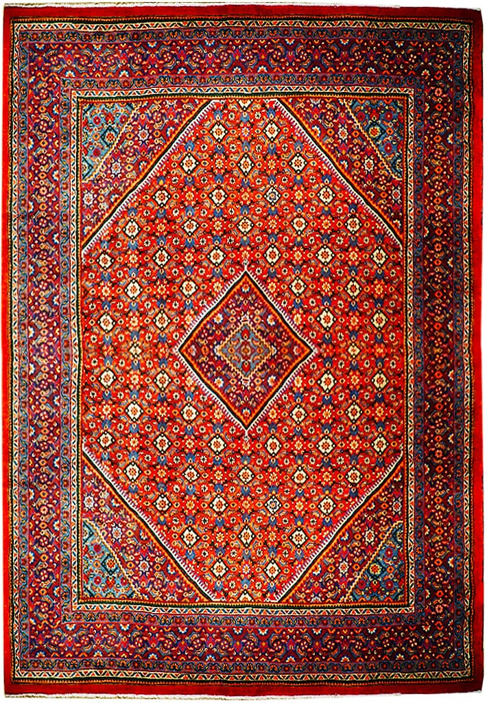 Orange Handmade Herati Persian Josheghan Rug 9.9 x 13.5 Feet (1 of 6)