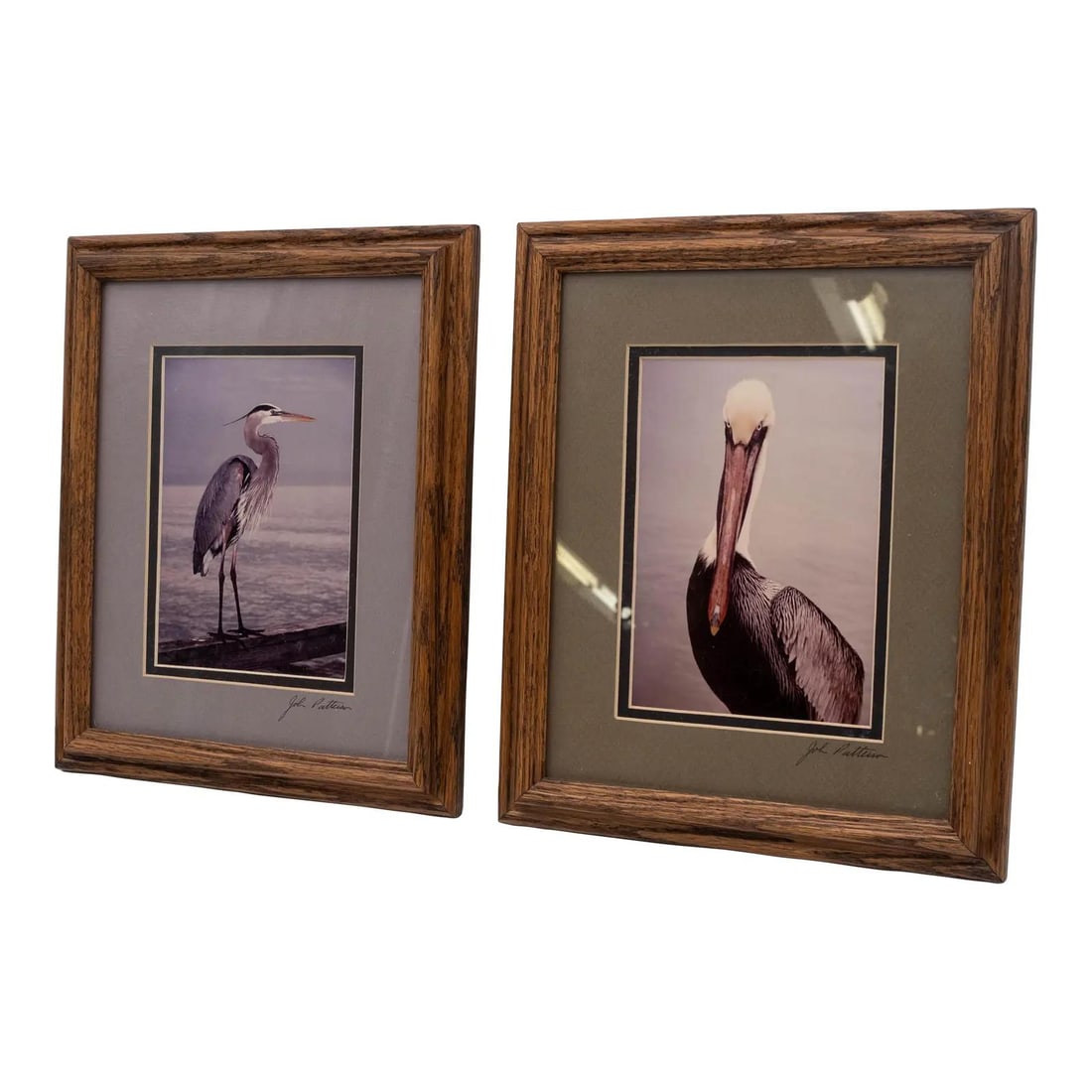 Framed John Patterson Sea Bird Art Pelican Heron 1986 (1 of 10)