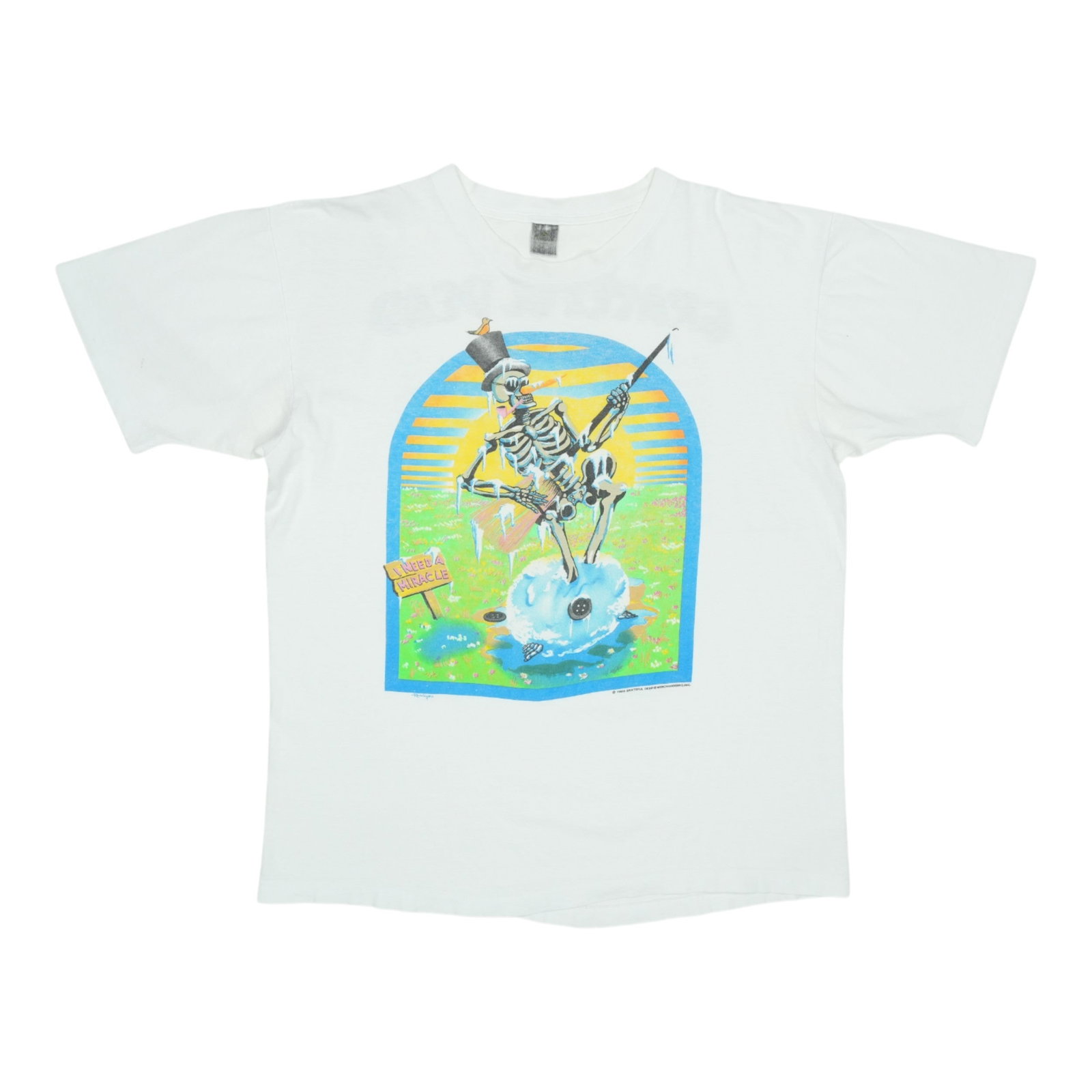 Vintage 1989 Grateful Dead Spring Tour White Cotton Band T-Shirt: Vintage 1989 Grateful Dead Spring Tour White Cotton Band T-Shirt This is an original vintage 1989 Grateful Dead Spring Tour shirt featuring both front and back graphics. The shirt is made of 100% cott
