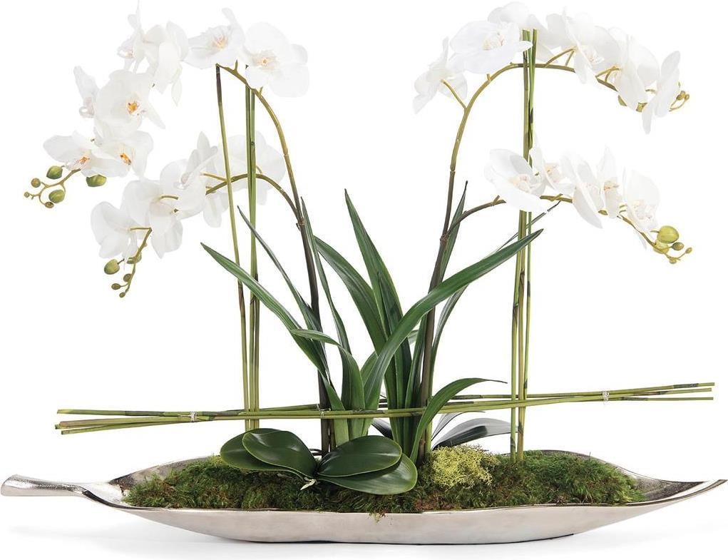 John-Richard Phalaenopsis Orchid Display with Silver Leaf Finish: John-Richard Phalaenopsis Orchid Display with Silver Leaf Finish Elevate your decor with the exquisite John-Richard Phalaenopsis Orchid Display. This stunning botanical arrangement features a captivat