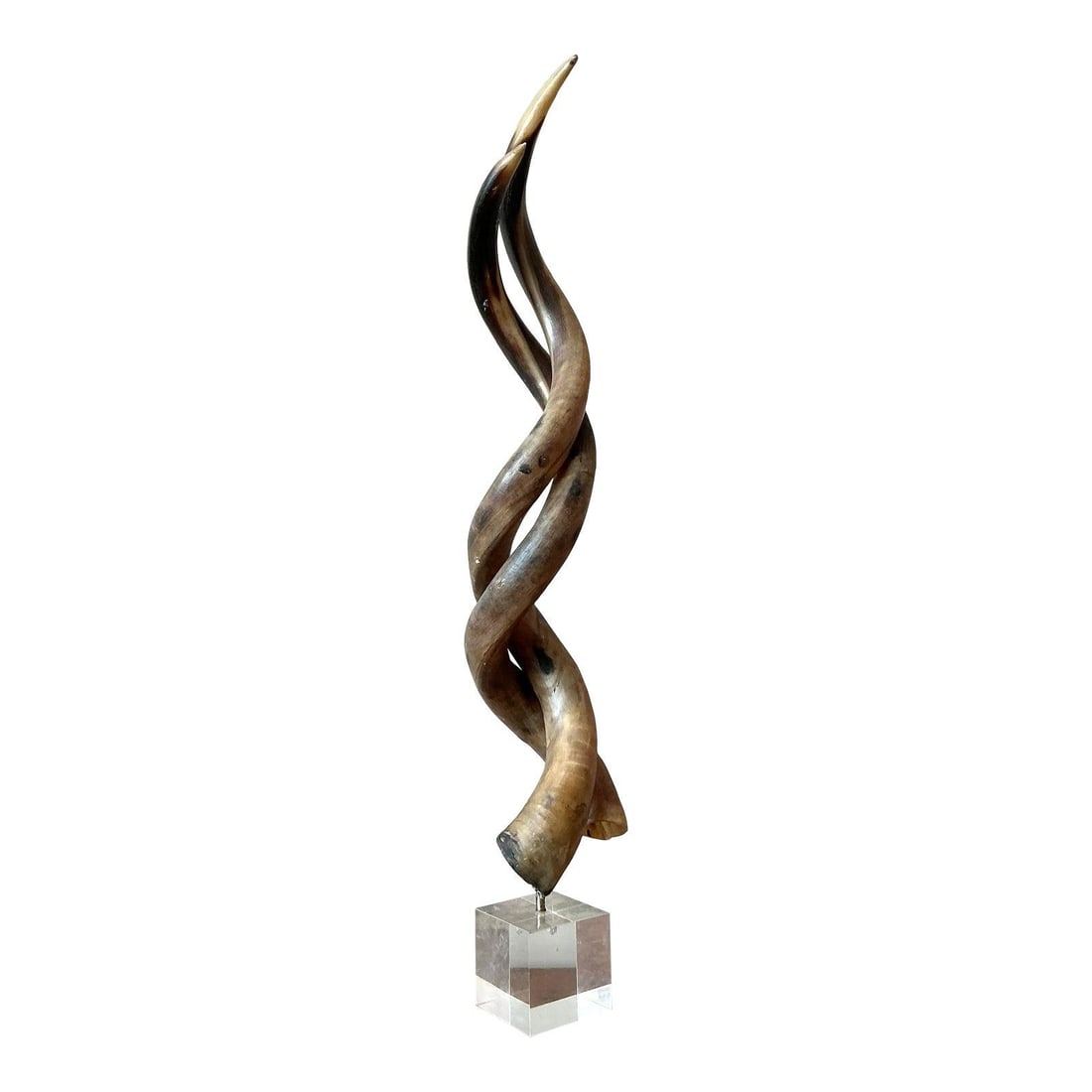 Three Intertwined Horns Sculpture Mounted on Clear Lucite Base: Three Intertwined Horns Sculpture Mounted on Clear Lucite Base This vintage Boho twisted horn sculpture features three intertwined, polished horns in varied amber and deep brown tones, elegantly mount
