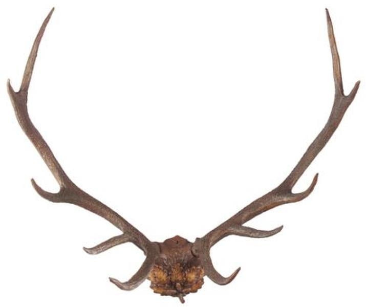 Hand-Painted Lodge Style Deer Antlers with Oak Leaf Plaque (1 of 1)