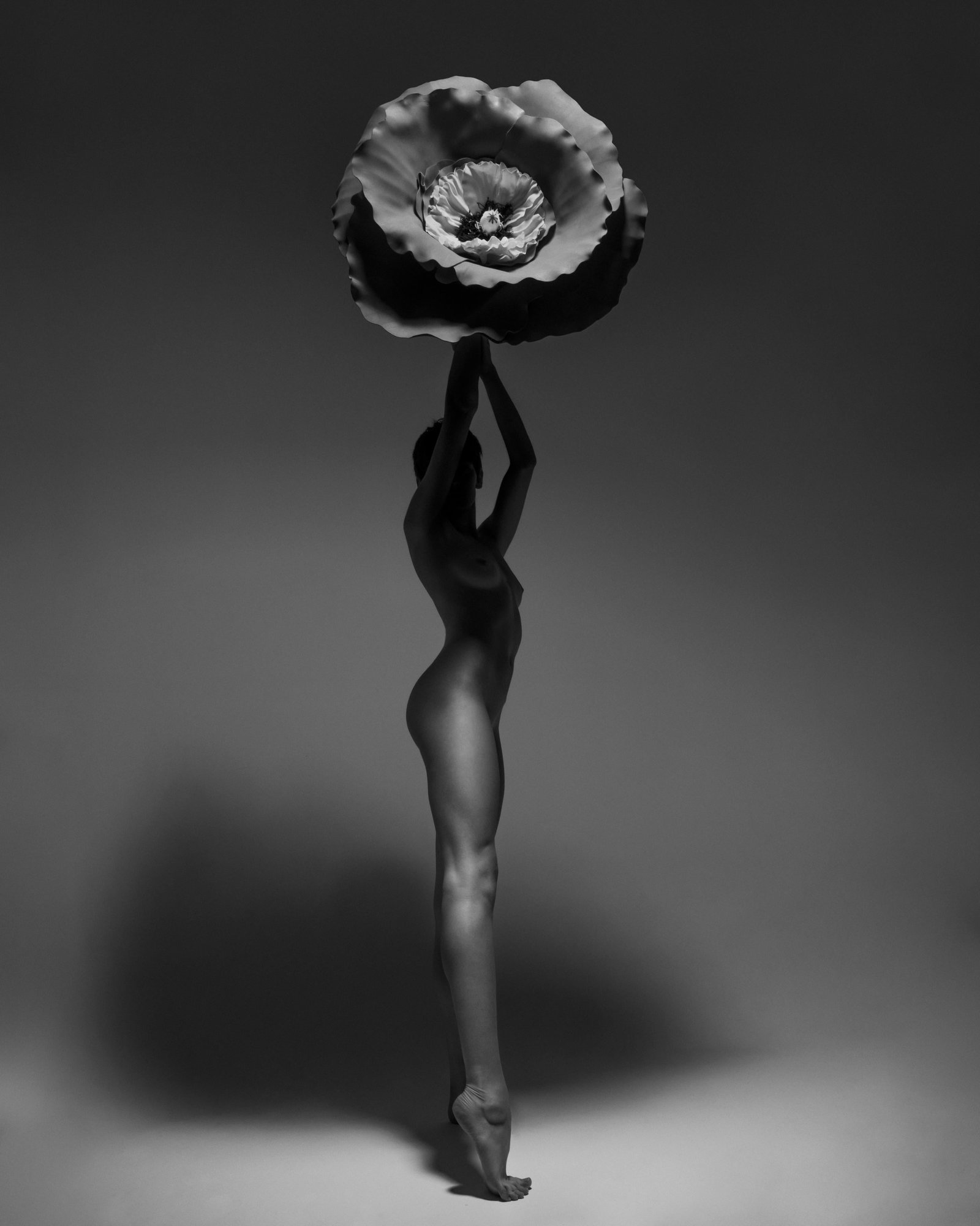 Behind Shadows Nude Photography 20 x 16 Ed. 1/15 by Aaron McPolin: Behind Shadows Nude Photography 20 x 16 Ed. 1/15 by Aaron McPolin "Behind Shadows" is a captivating 20" x 16" nude photography piece by acclaimed artist Aaron McPolin, created in 2023. This archival p