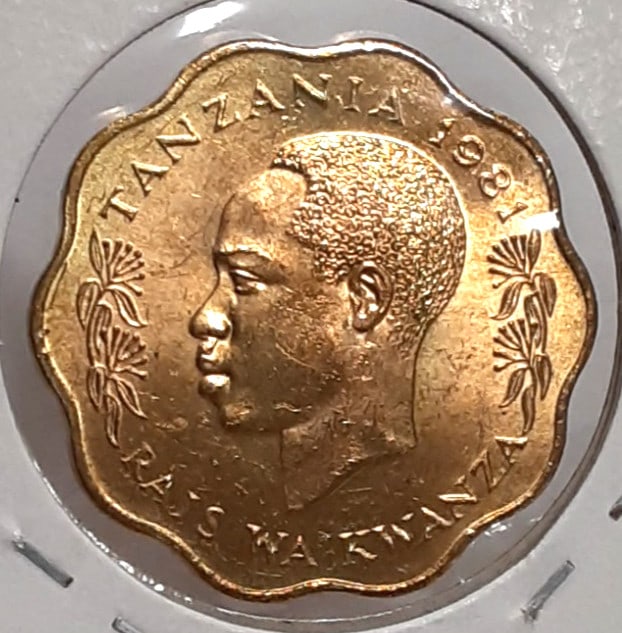 Roll of 30 Uncirculated 1981 Tanzania 10 Senti Nickel-Brass Zebra Coins KM 11 (1 of 3)