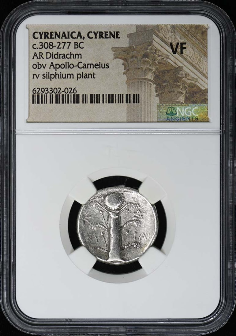 Cyrenaica Cyrene Silver Didrachm Ancient Coin Certified by NGC: Cyrenaica Cyrene Silver Didrachm Ancient Coin Certified by NGC This ancient AR Didrachm coin from Cyrenaica, Cyrene dates to approximately 308-277 BC. The coin has been certified by NGC and assigned a
