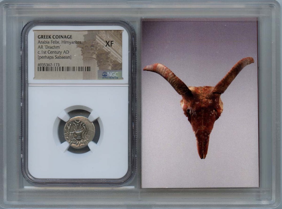 1st Century AD Himyarite Bull Head Ancient Greek Coin NGC XF40: 1st Century AD Himyarite Bull Head Ancient Greek Coin NGC XF40 This ancient Greek bull head from the Himyarite period, dating back to the 1st century AD, showcases a remarkable craftsmanship reflectiv